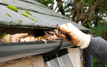 gutter cleaning Nympsfield, Gloucestershire