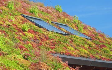 Nympsfield living roof systems