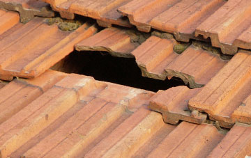 roof repair Nympsfield, Gloucestershire